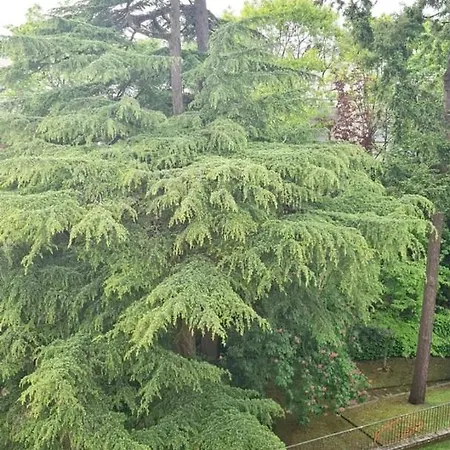 Apartment Pause Chezine - Terrace Near Park&river Nantes