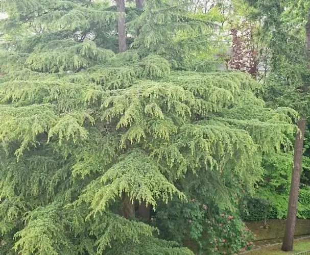 Apartment Pause Chezine - Terrace Near Park&river Nantes